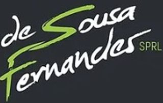 Logo De Sousa Fernandes