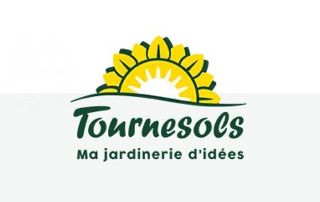 Tournesols - Ma Jardinerie d'idées